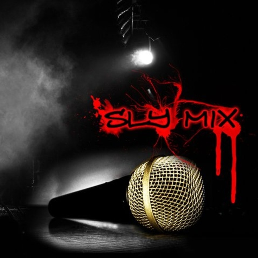 sly software download